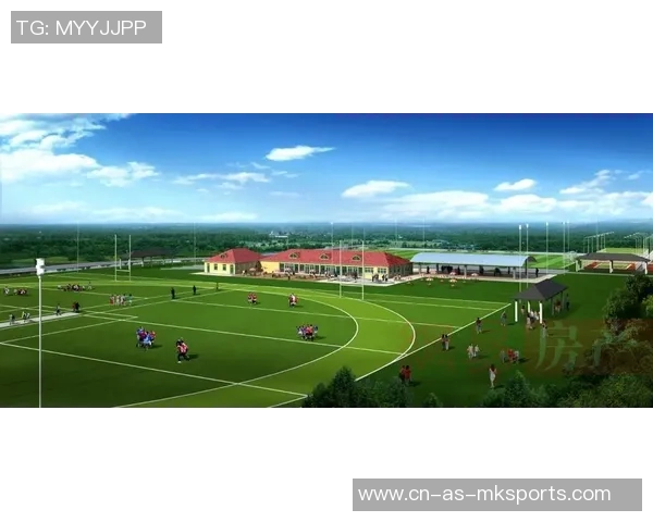 推动发展兴苑足球场建设助力青少年体育事业蓬勃发展